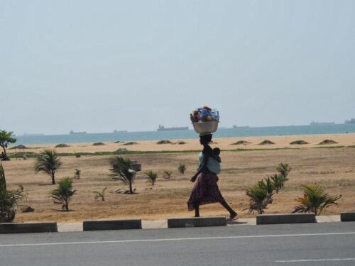 06 20131026 1217-1 s