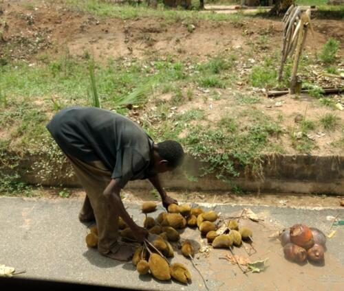 48 IMG 20190308 120545 (2)